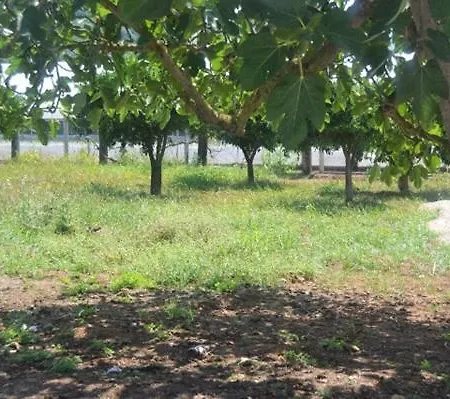 Beastella Nocleg ze śniadaniem 3*