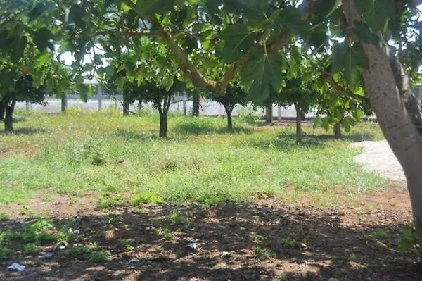 Beastella Nocleg ze śniadaniem 3*